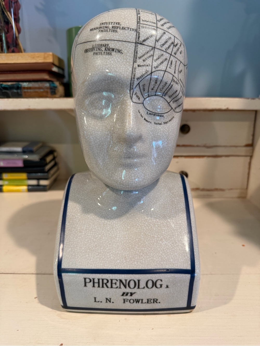 Phrenology Ceramic Head Décor - White with Blue Trim